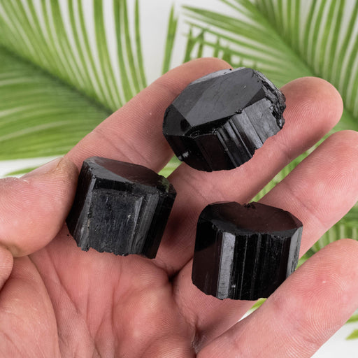 Black Tourmaline Lot 87 g 14mm-20mm - InnerVision Crystals
