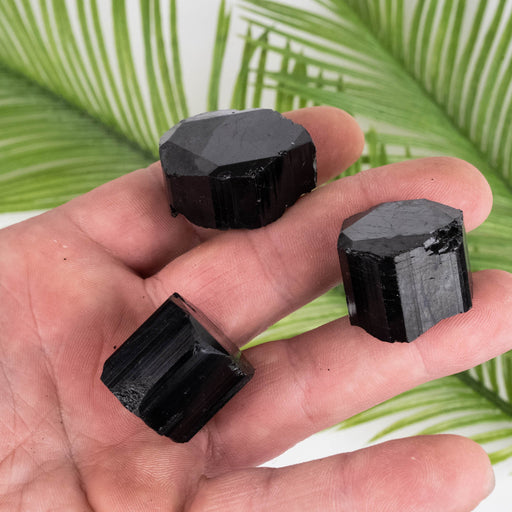 Black Tourmaline Lot 87 g 14mm-20mm - InnerVision Crystals