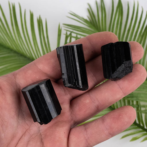 Black Tourmaline Lot 87 g 28mm-37mm - InnerVision Crystals