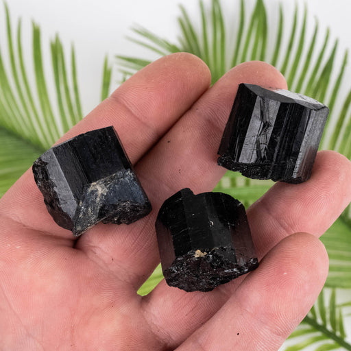 Black Tourmaline Lot 88 g 23mm-25mm - InnerVision Crystals