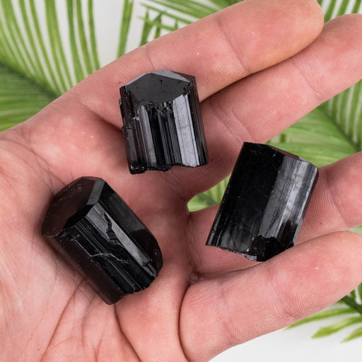 Black Tourmaline Lot 89 g 27mm-33mm - InnerVision Crystals