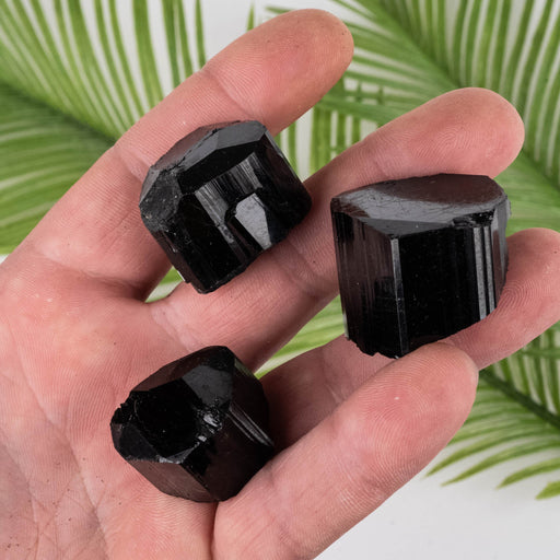Black Tourmaline Lot 91 g 19mm-27mm - InnerVision Crystals