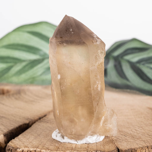 Citrine Crystal 35 g 52x23mm DT - InnerVision Crystals