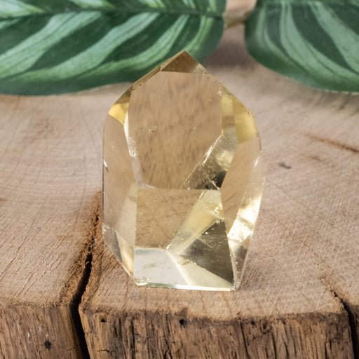 Citrine Polished Point 26 g 33x25mm - InnerVision Crystals