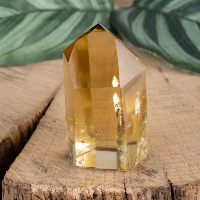 Citrine Polished Point 26 g 38x22mm - InnerVision Crystals