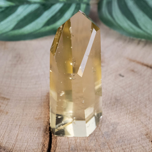 Citrine Polished Point 26 g 46x20mm - InnerVision Crystals