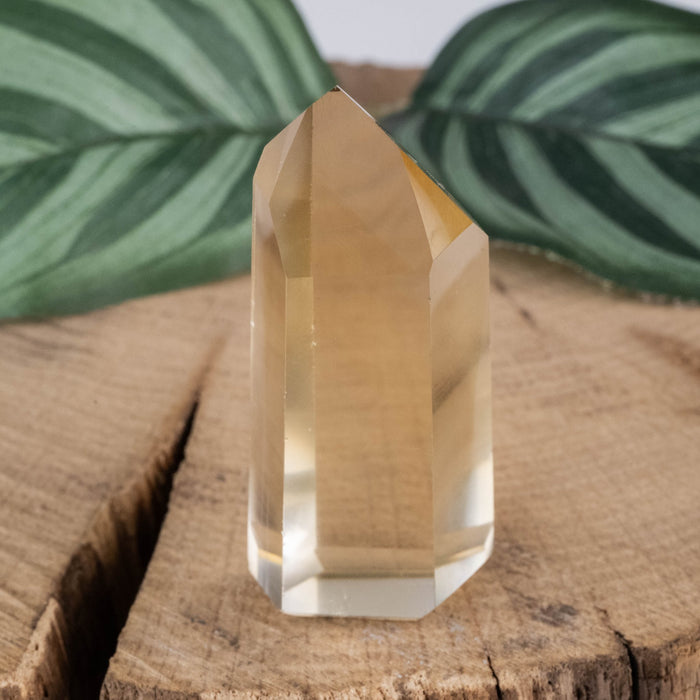 Citrine Polished Point 26 g 47x22mm - InnerVision Crystals