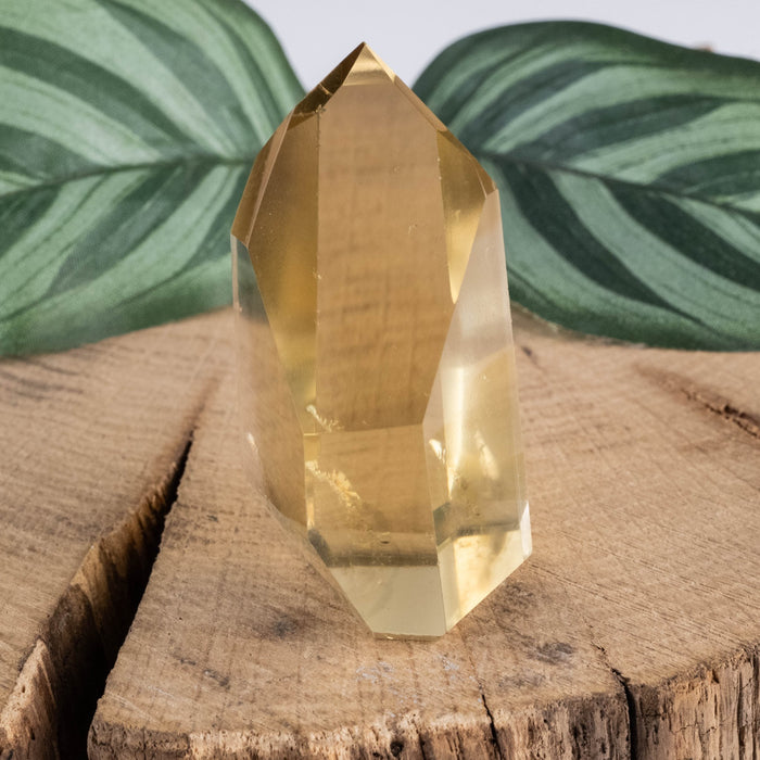 Citrine Polished Point 40 g 48x27mm - InnerVision Crystals