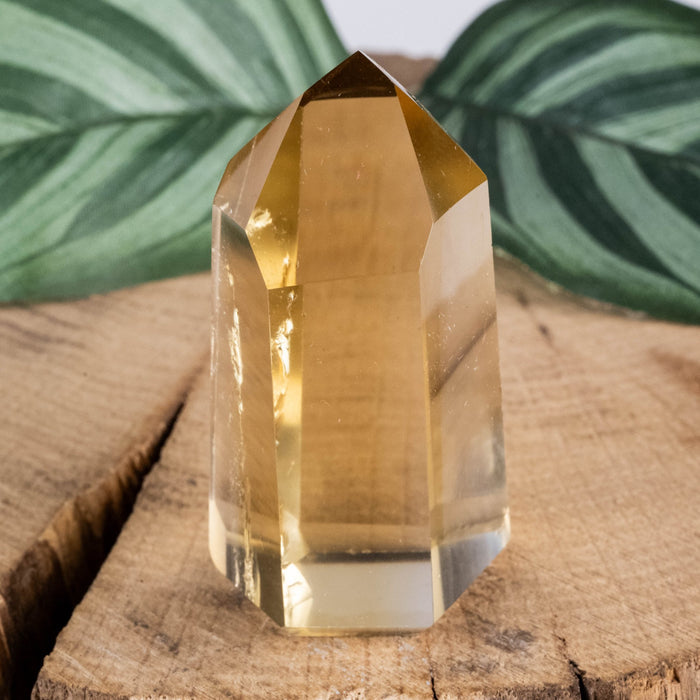 Citrine Polished Point 42 g 48x26mm - InnerVision Crystals