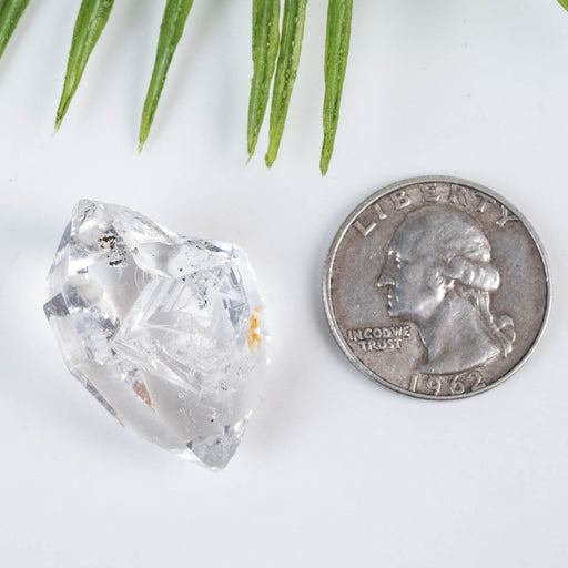 Herkimer Diamond Quartz Crystal 10 g 30x21x14mm - InnerVision Crystals