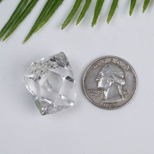 Herkimer Diamond Quartz Crystal 11.64 g 28x21x17mm A+ w/ Carbon - InnerVision Crystals
