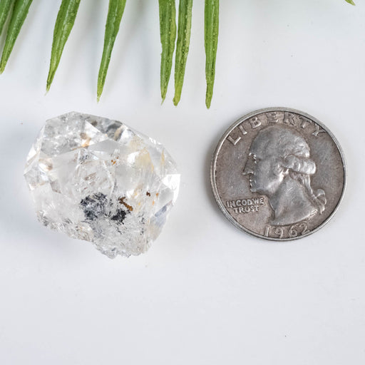 Herkimer Diamond Quartz Crystal 12 g 27x25x17mm - InnerVision Crystals