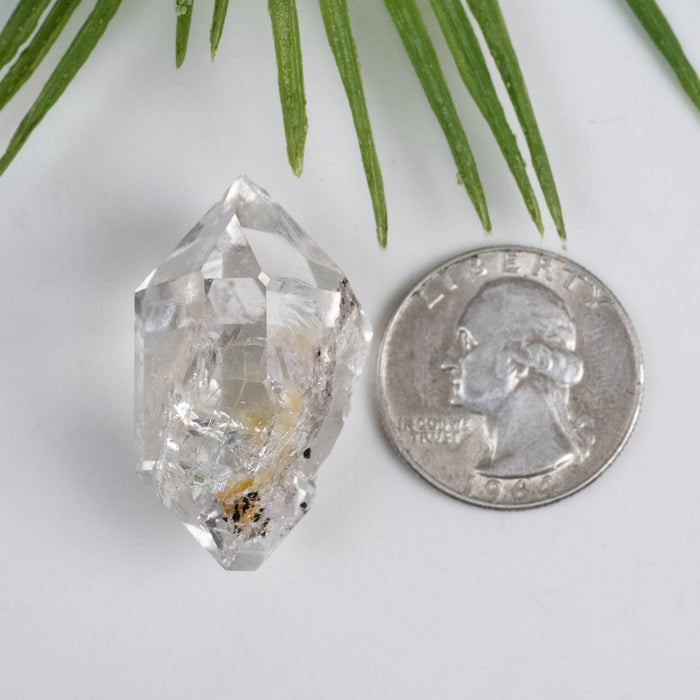 Herkimer Diamond Quartz Crystal 16.62 g 34x21x17mm B+ - InnerVision Crystals