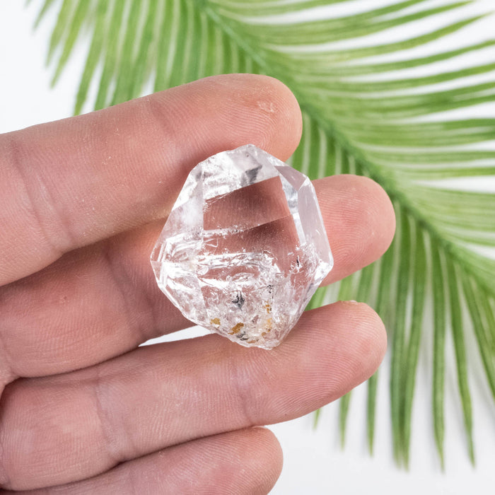 Herkimer Diamond Quartz Crystal 19 g 34x28x17mm - InnerVision Crystals