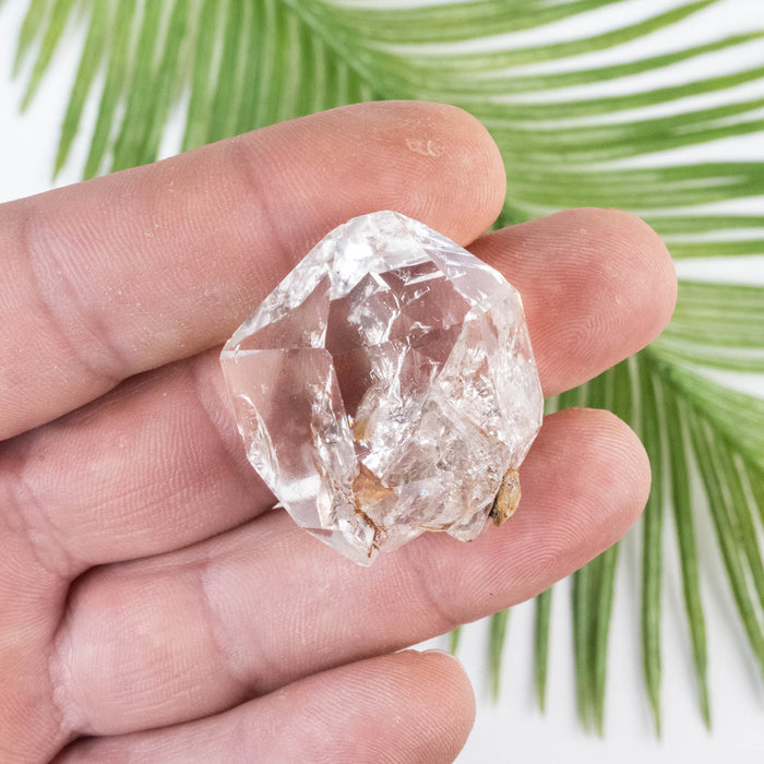 Herkimer Diamond Quartz Crystal 24 g 35x31x18mm - InnerVision Crystals