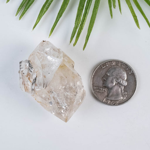 Herkimer Diamond Quartz Crystal 30 g 43x33x22mm - InnerVision Crystals