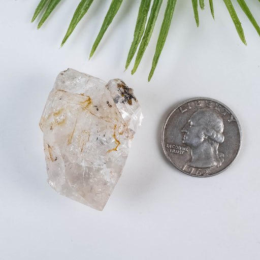 Herkimer Diamond Quartz Crystal 30 g 43x33x22mm - InnerVision Crystals