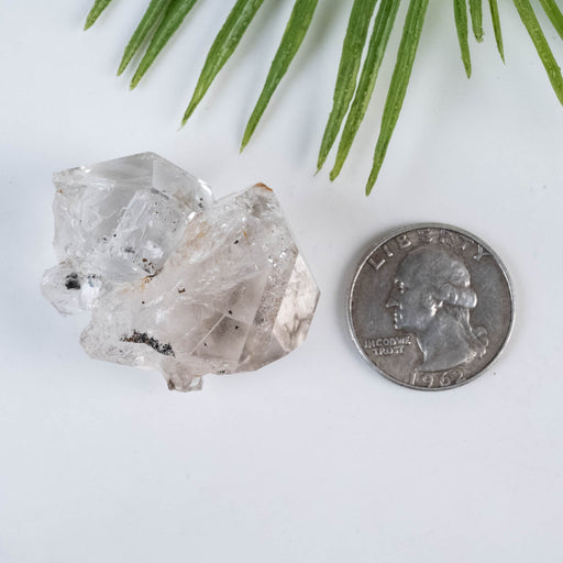 Herkimer Diamond Quartz Crystal 32 g 38x32x22mm - InnerVision Crystals