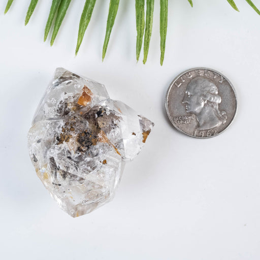 Herkimer Diamond Quartz Crystal 40 g 48x40x21mm Cluster - InnerVision Crystals