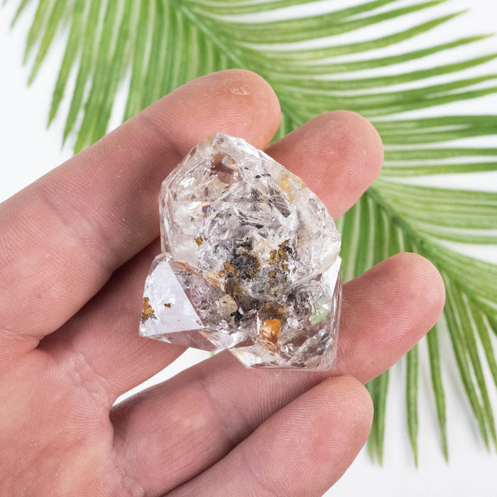 Herkimer Diamond Quartz Crystal 40 g 48x40x21mm Cluster - InnerVision Crystals