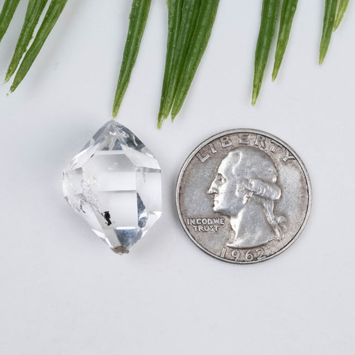 Herkimer Diamond Quartz Crystal 6.05 g 23x16x14mm A+ - InnerVision Crystals