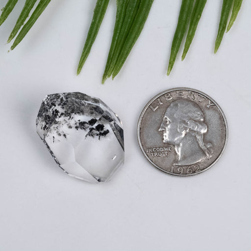 Herkimer Diamond Quartz Crystal 8.01 g 26x19x11mm A+ with Carbon - InnerVision Crystals