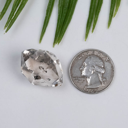 Herkimer Diamond Quartz Crystal 8.20 g 26x21x17 Smoky A+ - InnerVision Crystals