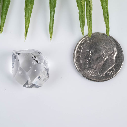 Herkimer Diamond Quartz Crystal A+ 2.13 g 15x10x9mm - InnerVision Crystals