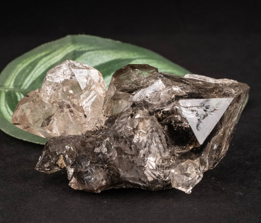 Herkimer Diamond Quartz Crystal DT Skeletal Scepter 58.52 g 58x44x25mm - InnerVision Crystals