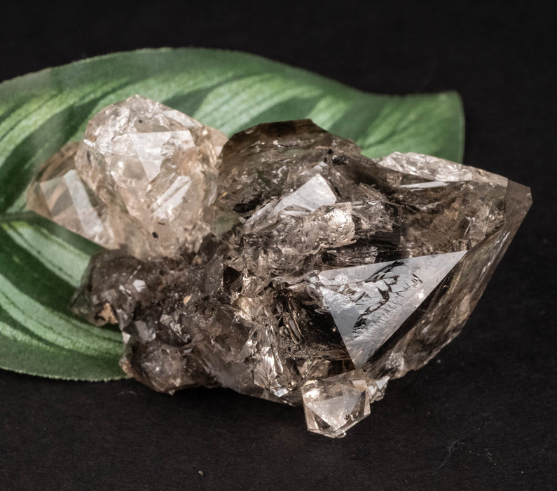 Herkimer Diamond Quartz Crystal DT Skeletal Scepter 58.52 g 58x44x25mm - InnerVision Crystals