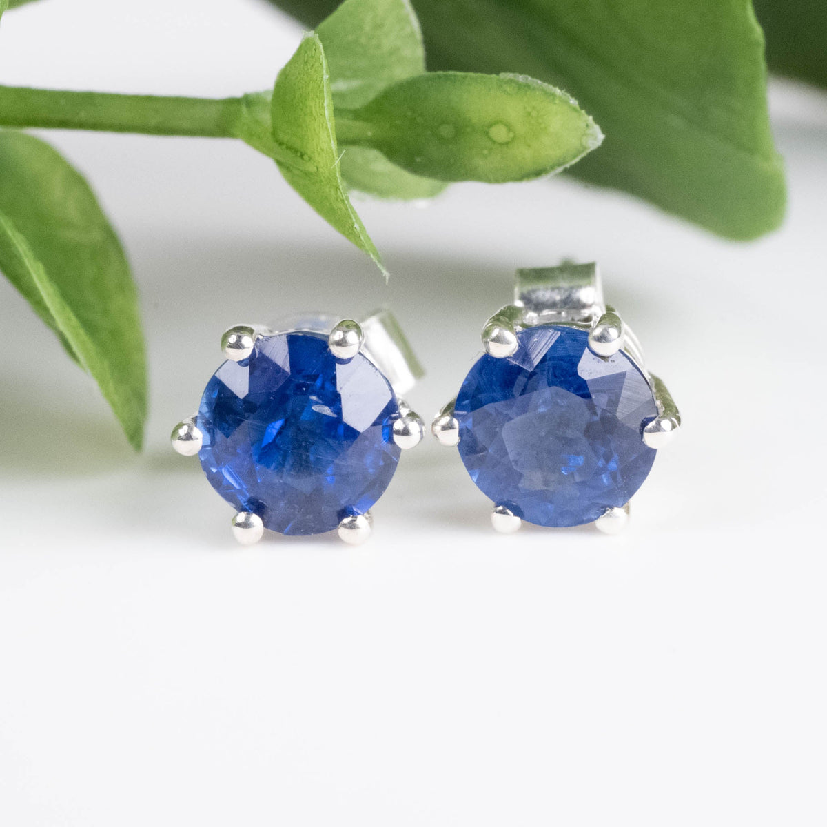 Pure Silver Parrot Kyanite Earrings
