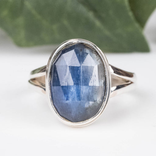 Kyanite Ring 12x9mm Size 7 - InnerVision Crystals