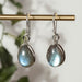 Labradorite Earrings 12x9mm - InnerVision Crystals