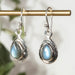 Labradorite Earrings 9x7mm - InnerVision Crystals
