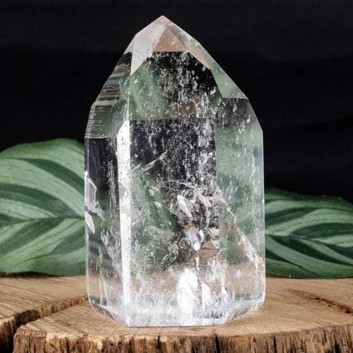 Lemurian Seed Crystal 158 g 69x40mm - InnerVision Crystals