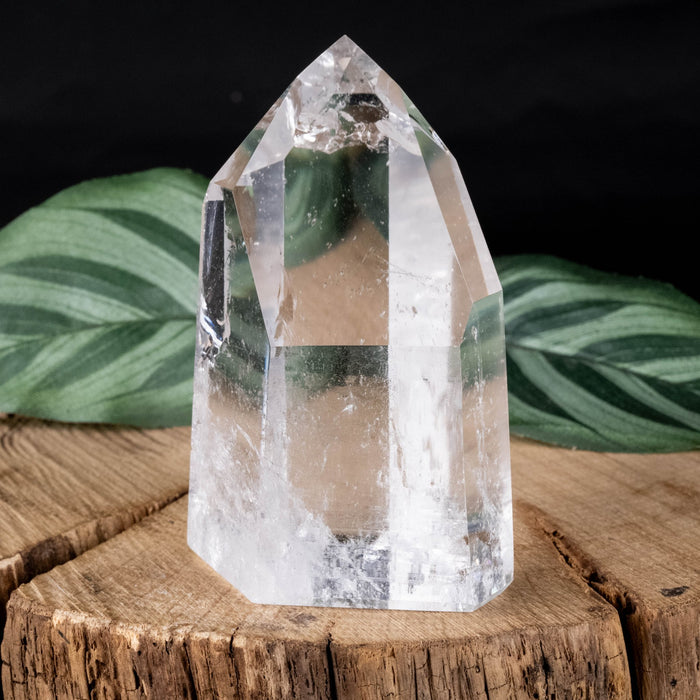 Lemurian Seed Crystal 159 g 70x44mm - InnerVision Crystals