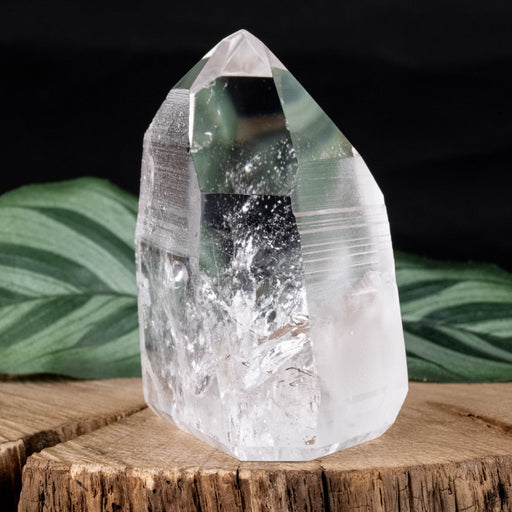 Lemurian Seed Crystal 161 g 64x51mm - InnerVision Crystals