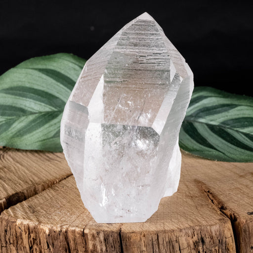 Lemurian Seed Crystal 167 g 66x44mm - InnerVision Crystals
