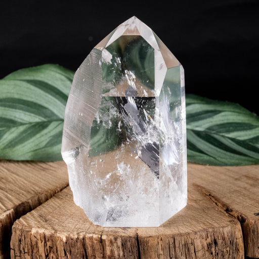 Lemurian Seed Crystal 173 g 69x45mm - InnerVision Crystals