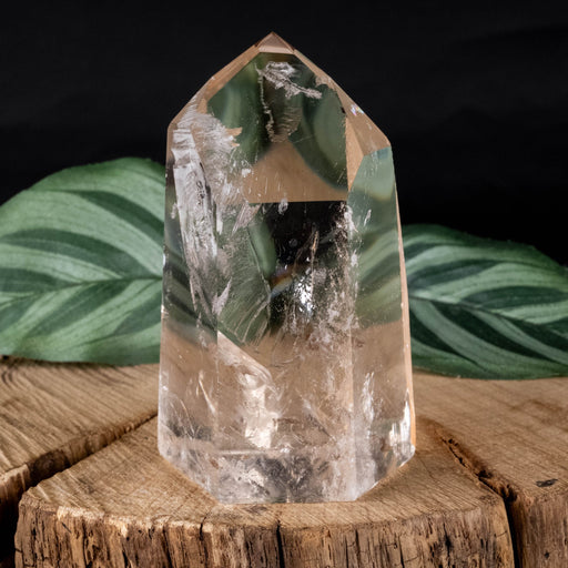 Lemurian Seed Crystal 175 g 73x44mm - InnerVision Crystals