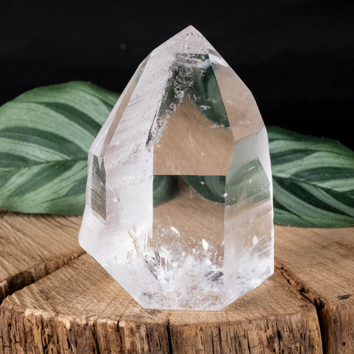 Lemurian Seed Crystal 181 g 67x49mm - InnerVision Crystals