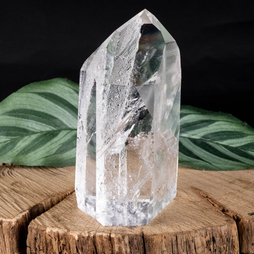 Lemurian Seed Crystal 189 g 78x38mm - InnerVision Crystals