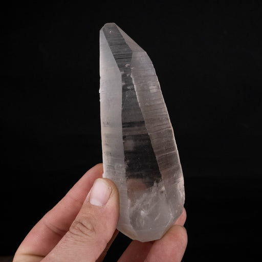 Lemurian Seed Crystal 223 g 119x45mm *DT with DING - InnerVision Crystals