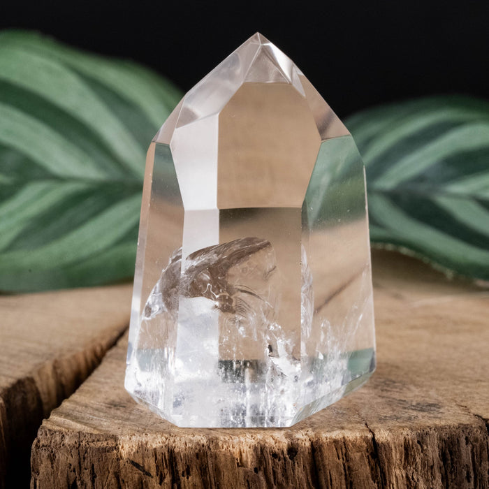 Lemurian Seed Crystal 31 g 38x26mm - InnerVision Crystals
