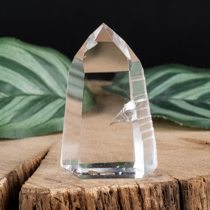 Lemurian Seed Crystal 34 g 44x29mm - InnerVision Crystals