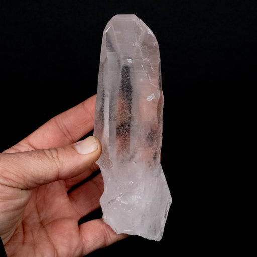 Lemurian Seed Crystal 340 g 154x48mm w/ Chlorite - InnerVision Crystals
