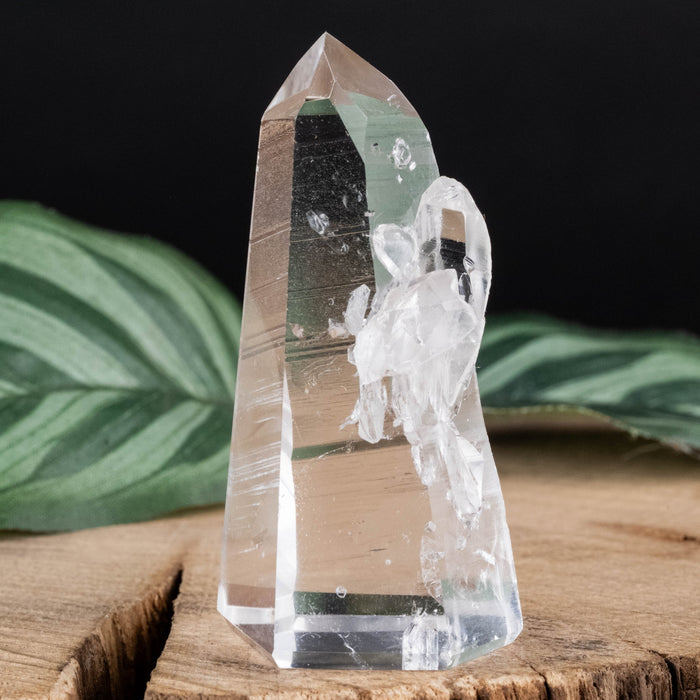 Lemurian Seed Crystal 38 g 53x26mm - InnerVision Crystals