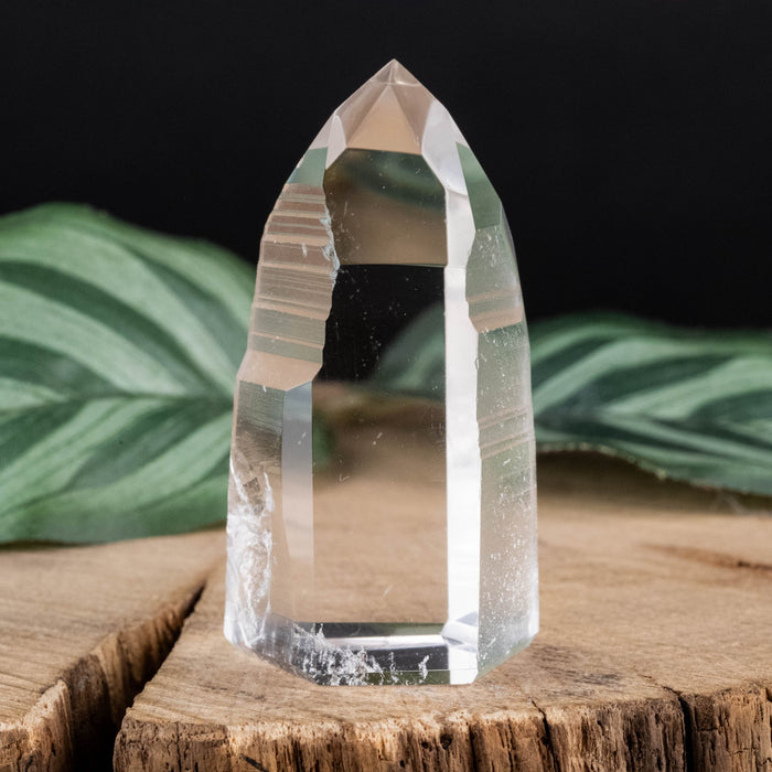 Lemurian Seed Crystal 46 g 51x27mm - InnerVision Crystals