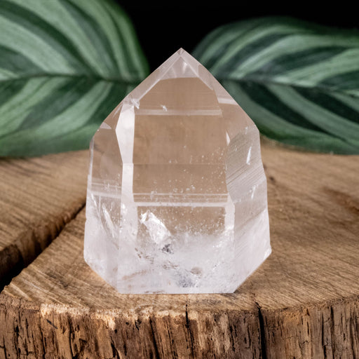 Lemurian Seed Crystal 47 g 40x32mm - InnerVision Crystals