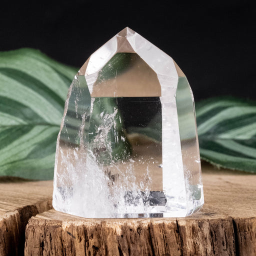 Lemurian Seed Crystal 48 g 41x34mm - InnerVision Crystals